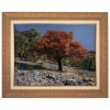 Tappeto persiano Tabriz a disegno pittorico codice 901752