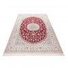 奈恩 伊朗手工地毯 代码 174508