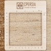 Персидский габбе ручной работы Fars Код 171524 - 102 × 159