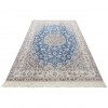 奈恩 伊朗手工地毯 代码 180071