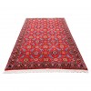 科利亚伊 伊朗手工地毯 代码 185055