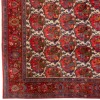 Tappeto persiano Bijar Afshar annodato a mano codice 184039 - 330 × 536