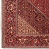 Tappeto persiano Bijar annodato a mano codice 187073 - 167 × 235