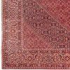 Tappeto persiano Bijar annodato a mano codice 187080 - 254 × 253