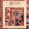 Tappeto persiano Bijar annodato a mano codice 187117 - 250 × 400