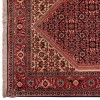 Персидский ковер ручной работы Биджар Код 187106 - 74 × 228