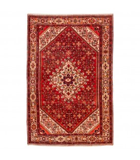 イランの手作りカーペット フセイン アバド 番号 166253 - 214 × 317