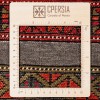Персидский ковер ручной работы туркменский Код 171800 - 102 × 157