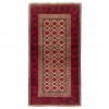 イランの手作りカーペット バルーチ 番号 705286 - 108 × 208
