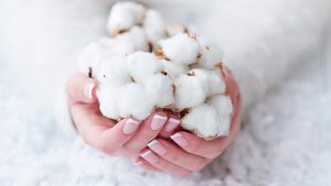 مواد اولیه پنبه