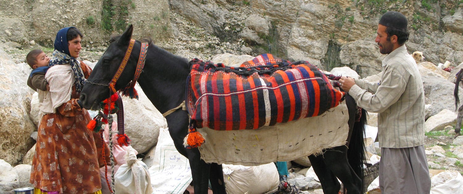 قالی قشقایی