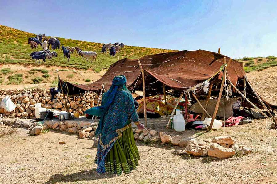 قالی قشقایی