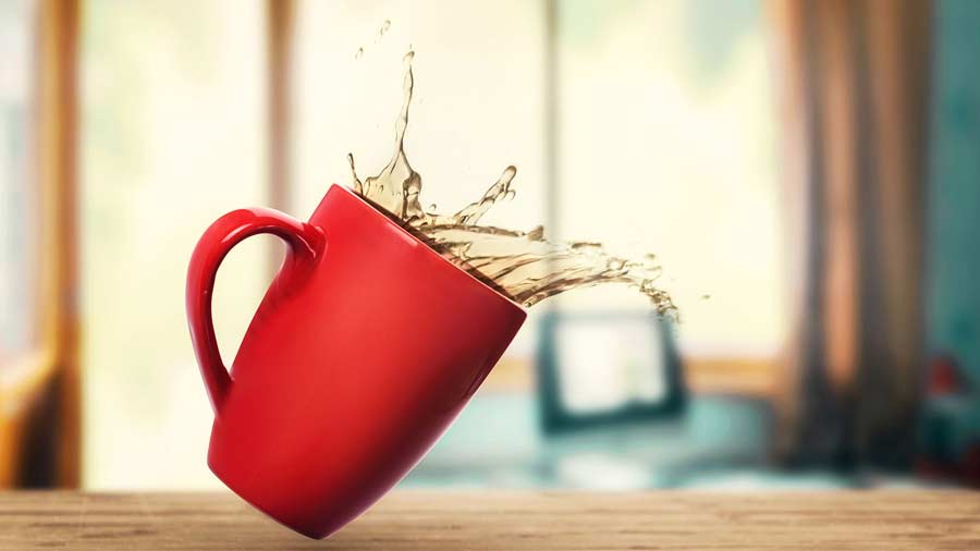 شکوفه مصباحی