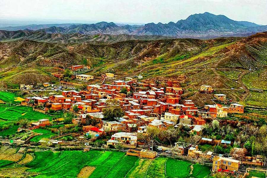 قالی ساروق